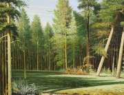 Лесной пейзаж, Юсипов, 1996г