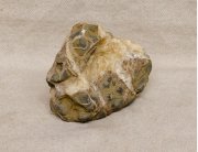 Камень септария