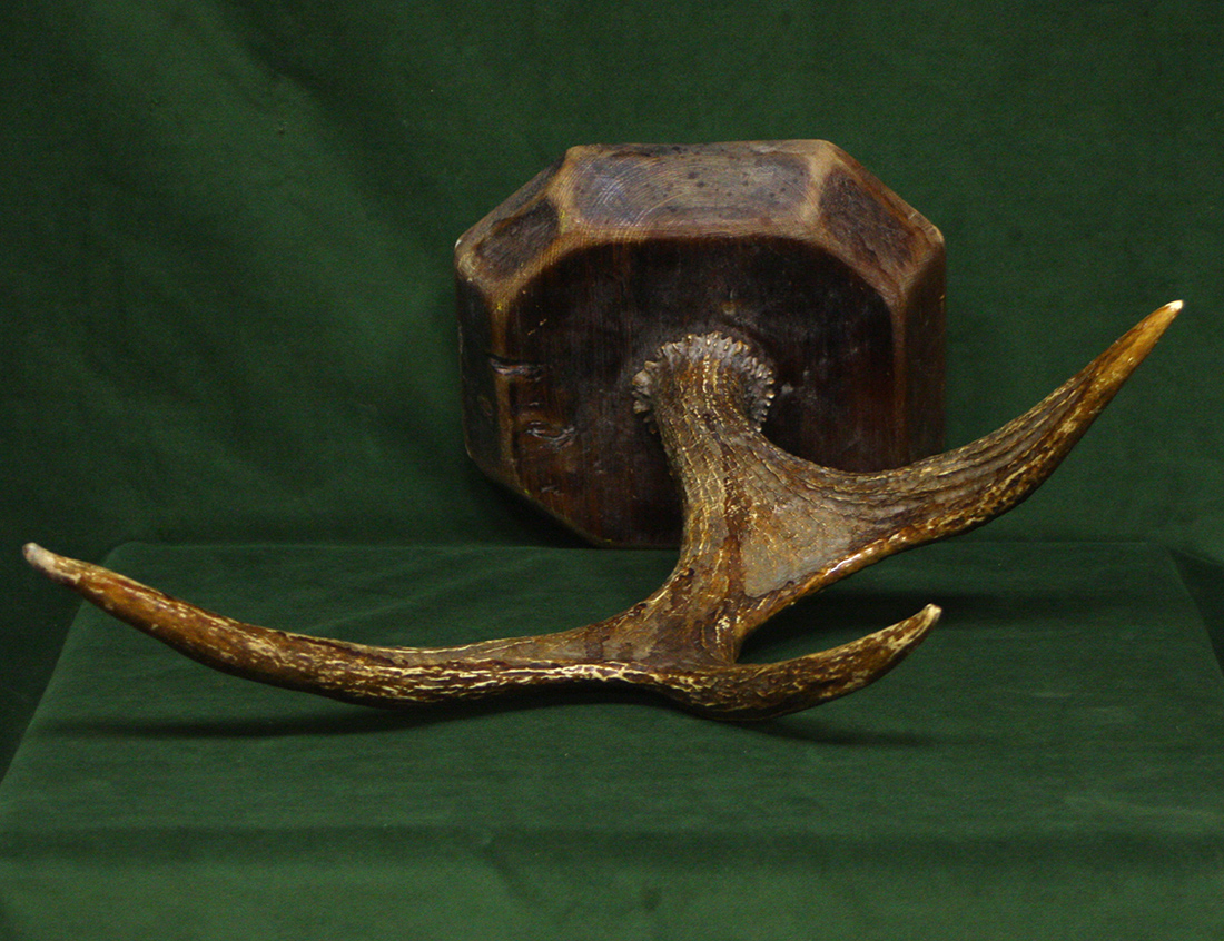 Старинные рога