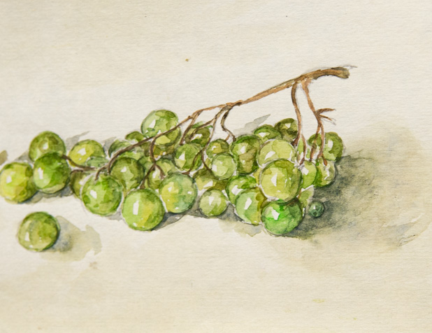 Этюд Груша и виноград