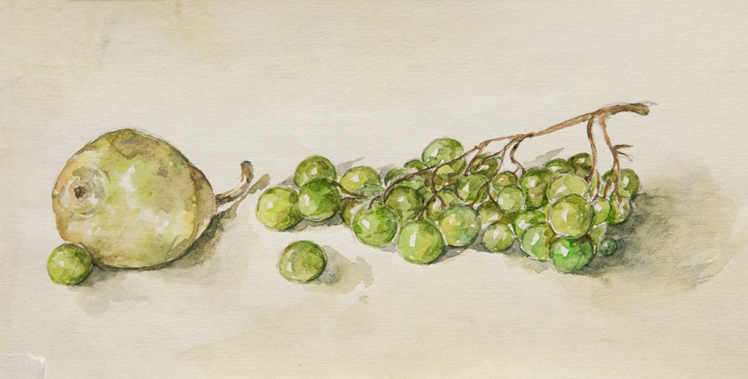 Этюд Груша и виноград