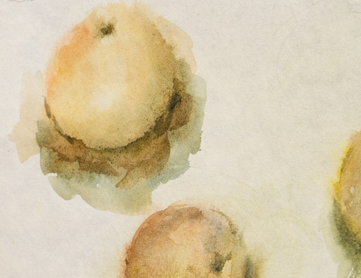 Этюд Яблоки