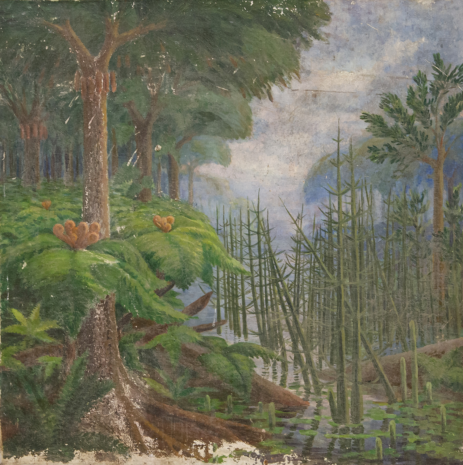 Папоротниковый лес 