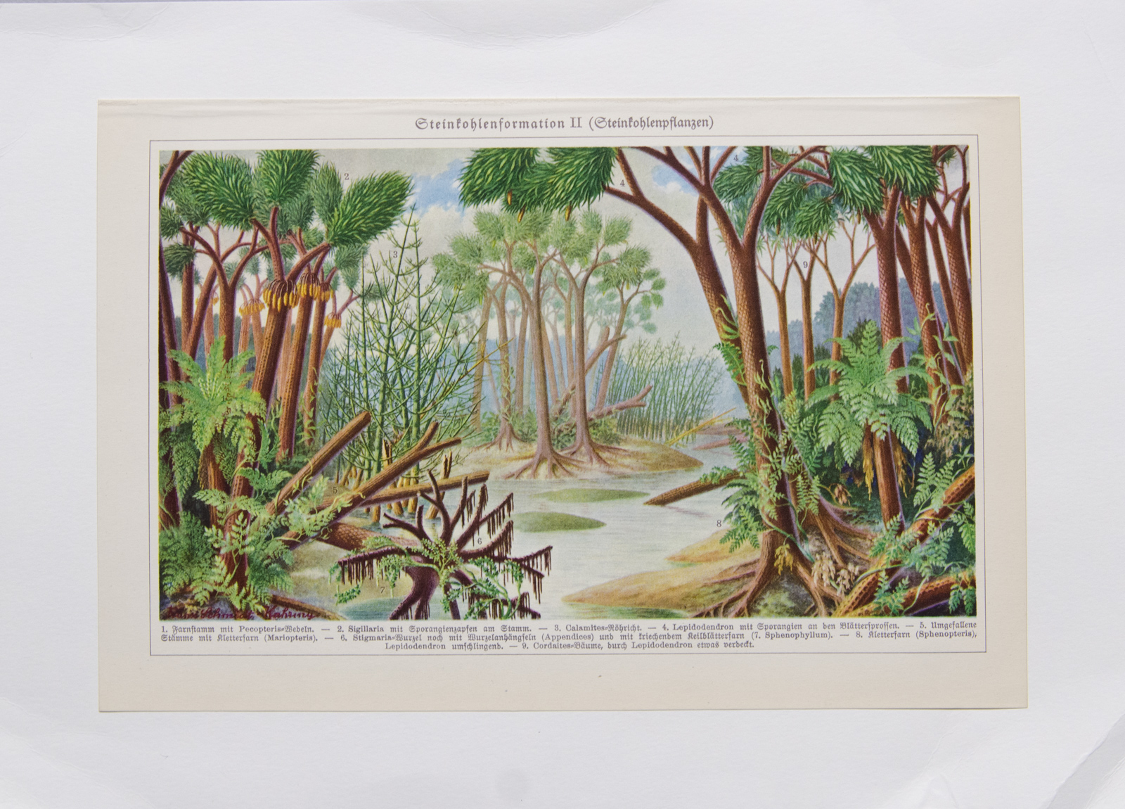 Антикварная хромолитография, Германия