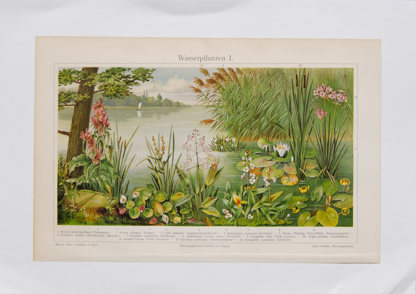 Антикварная хромолитография, Германия