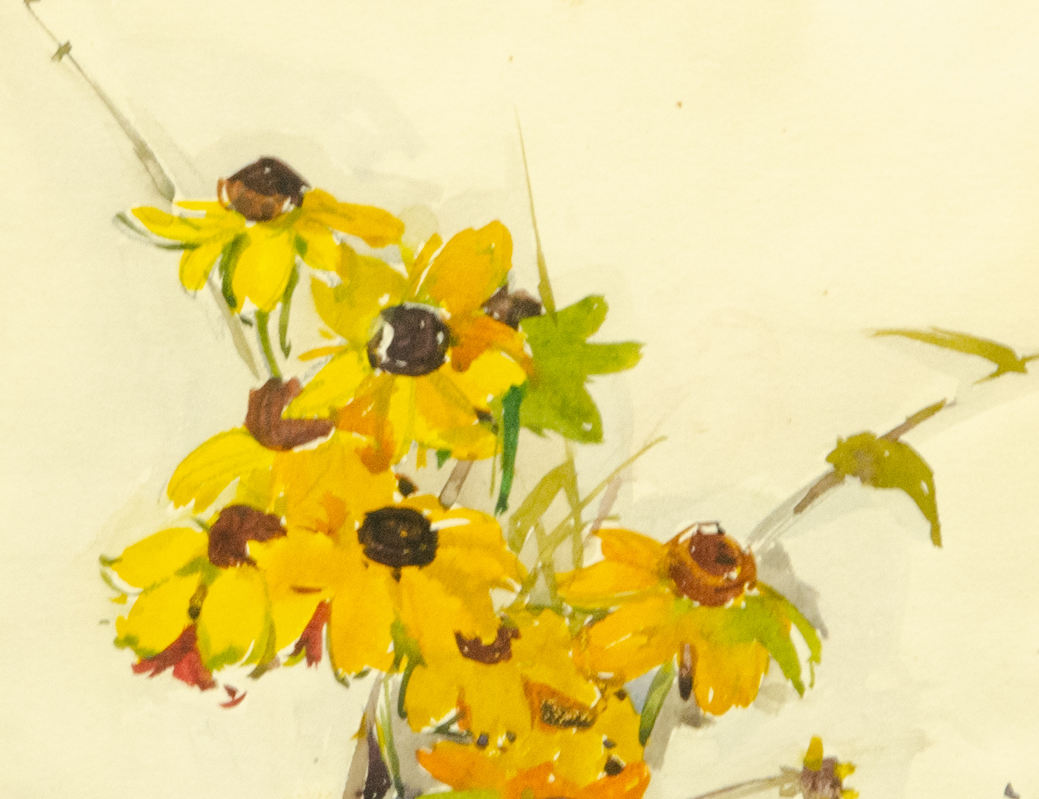 Акварель Рудбекии