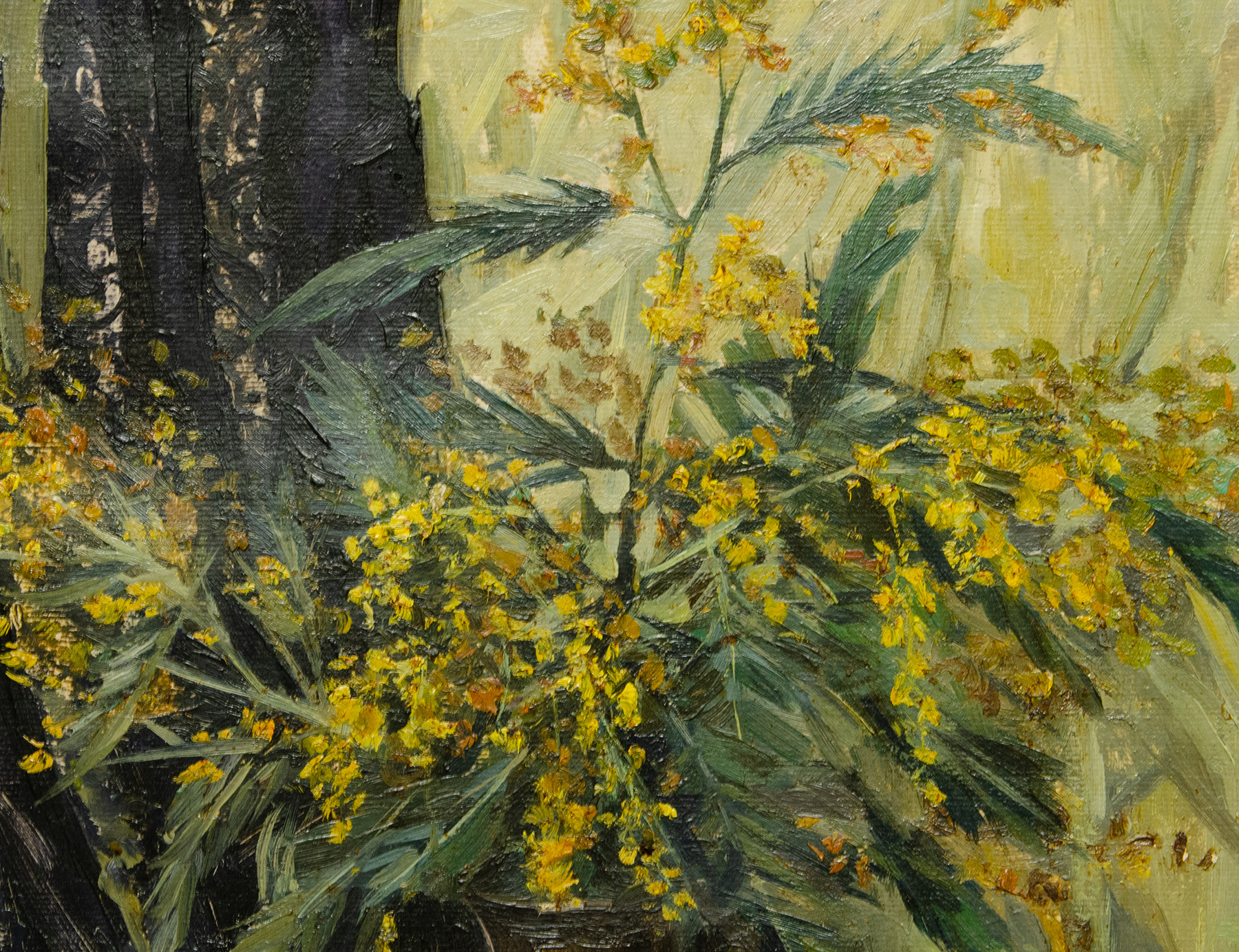 Натюрморт с мимозой 