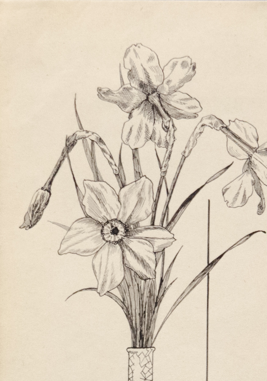 Старинная графика - Букет нарциссов