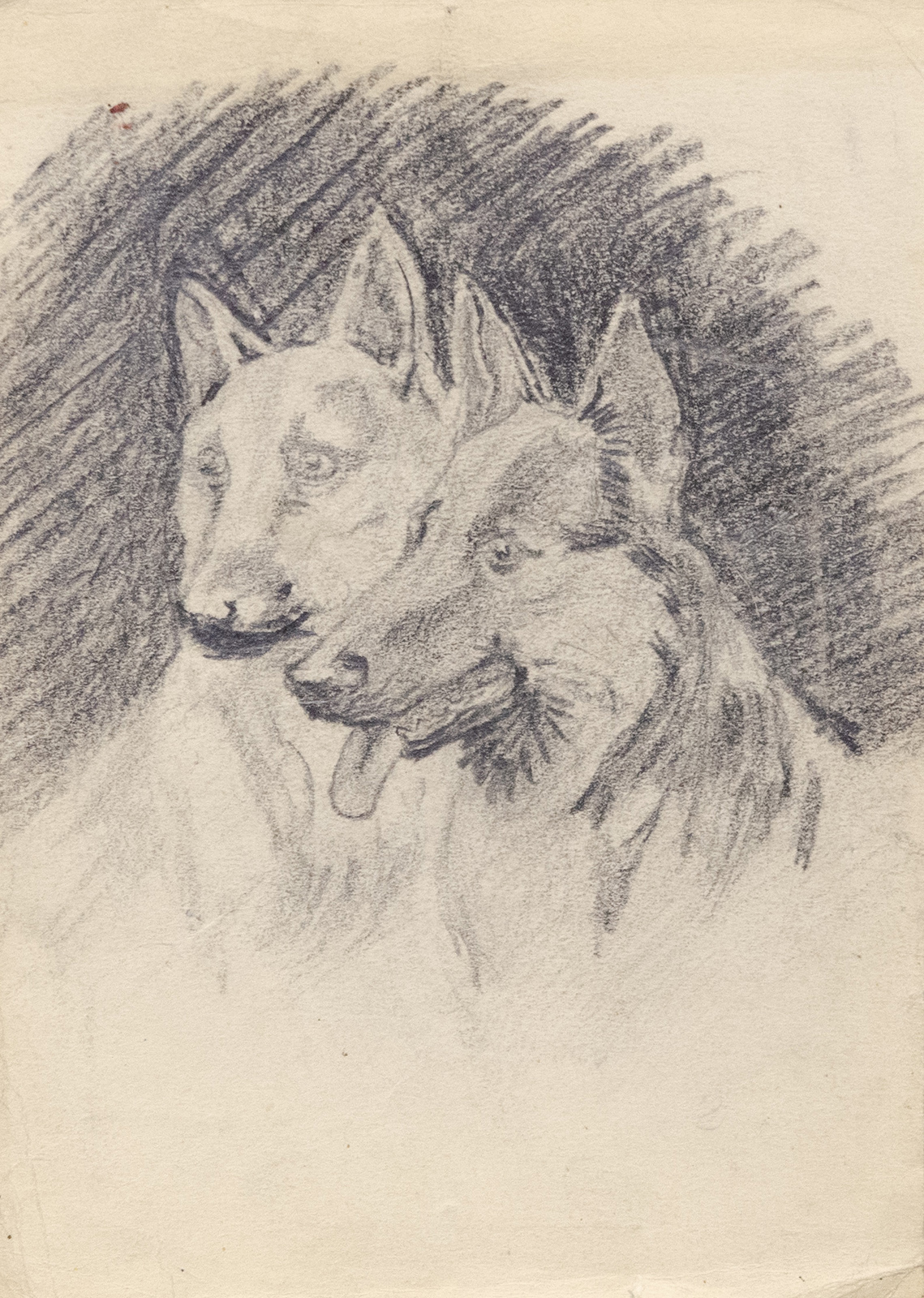 Старинная графика - Овчарки