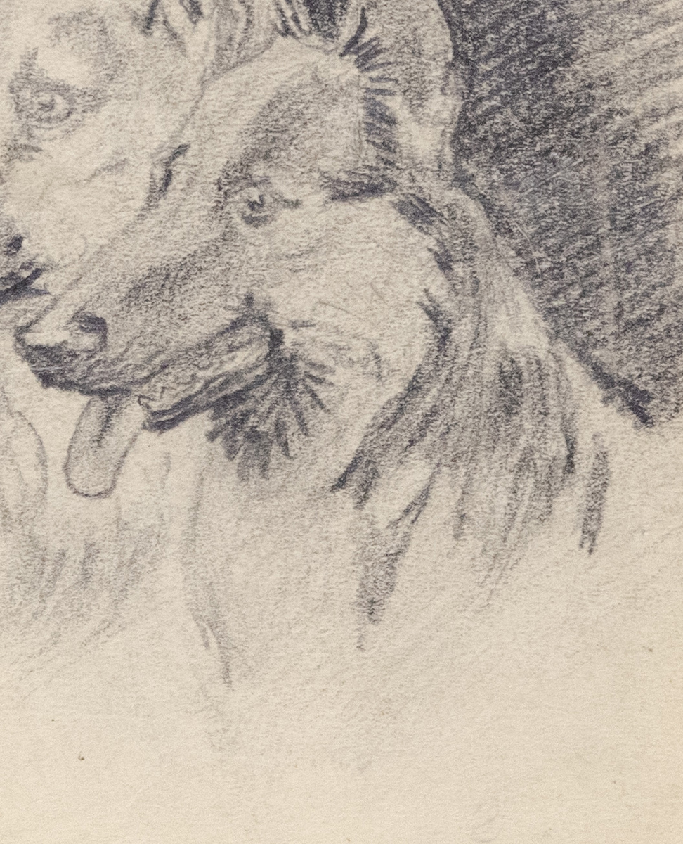 Старинная графика - Овчарки