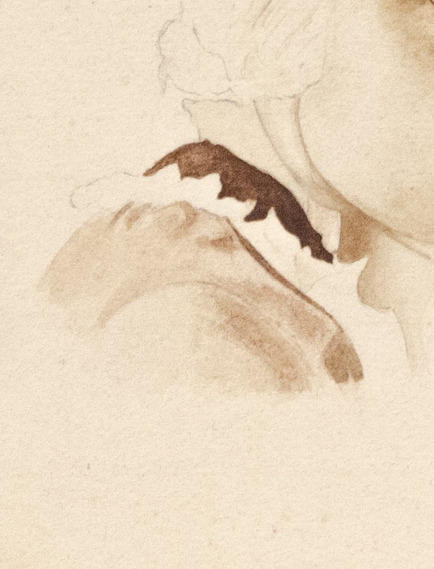 Старинная графика - Портрет женщины