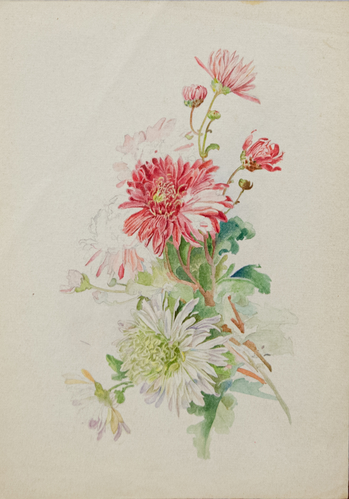 Старинная акварель цветы