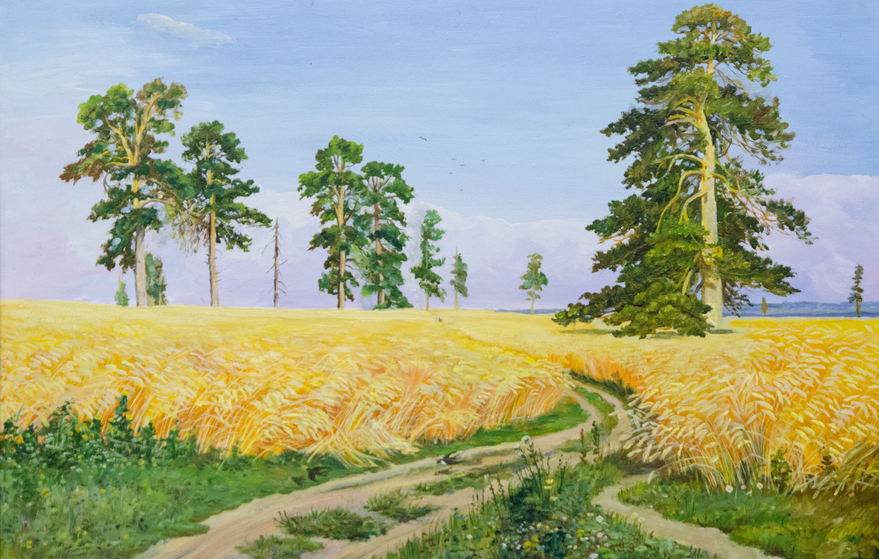 Пшеничное поле