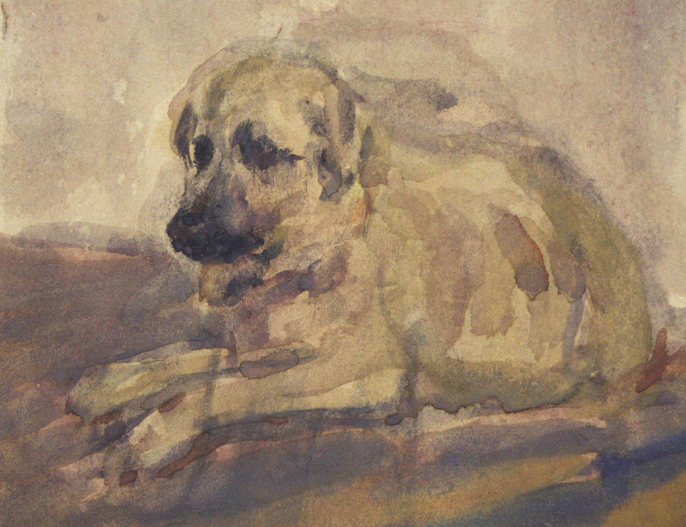 Собака, 1956г