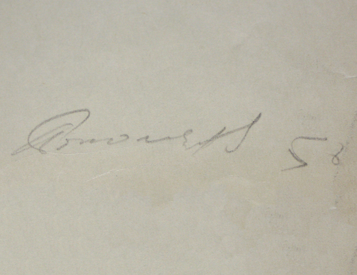 Собака, 1956г