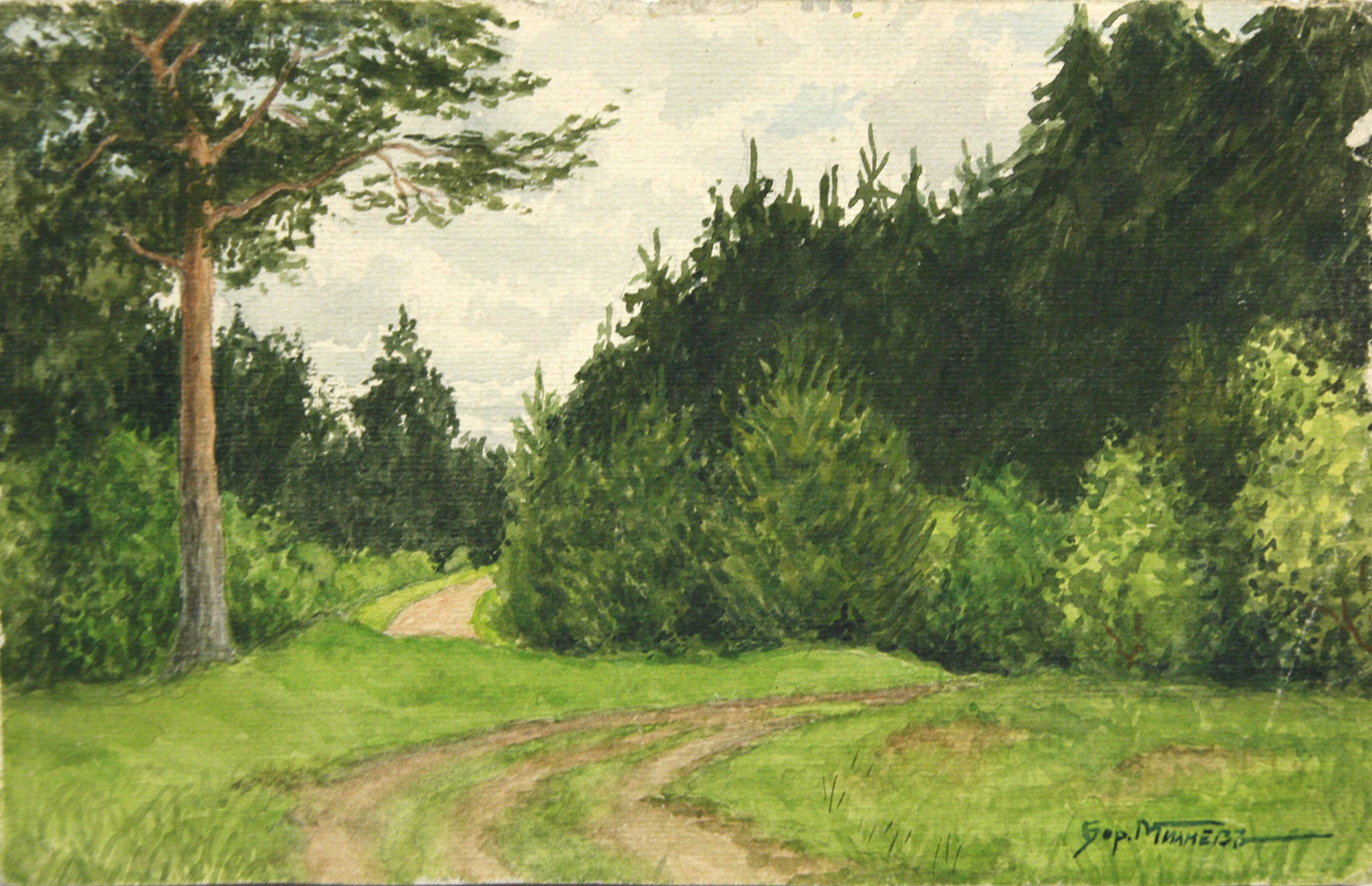 Лесная дорога