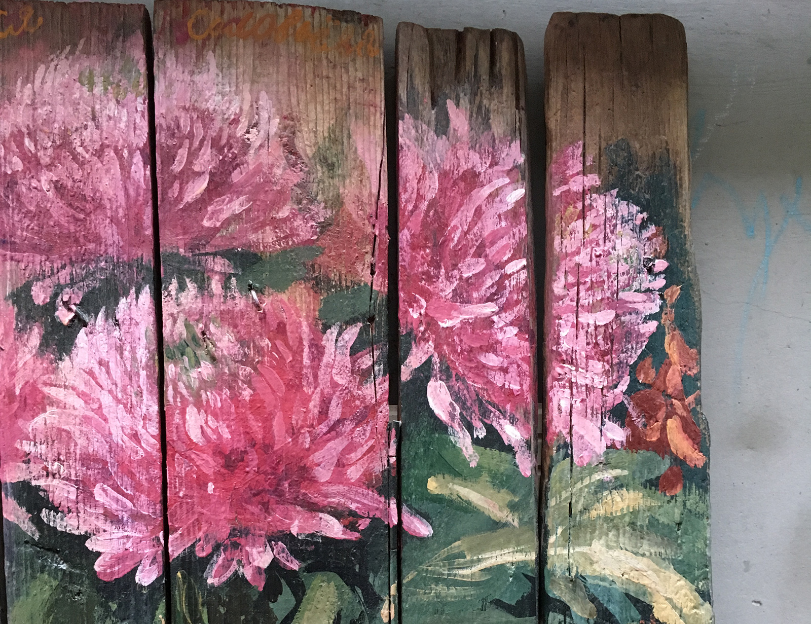 Хризантемы