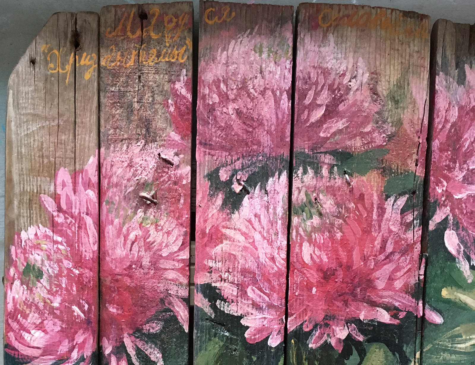 Хризантемы