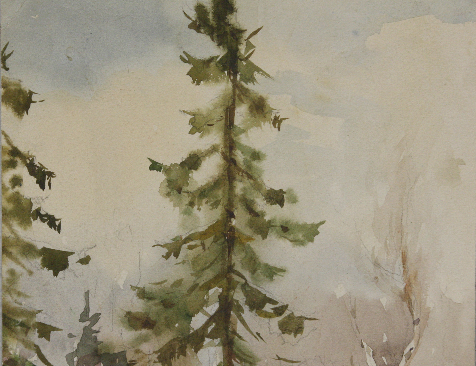 Акварель Лесная опушка 1967