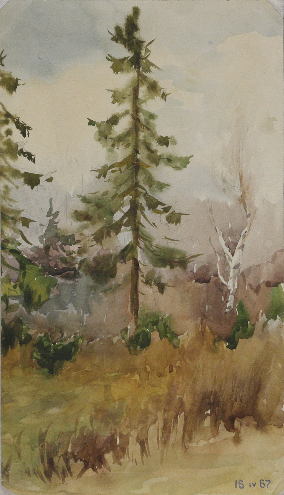 Акварель Лесная опушка 1967