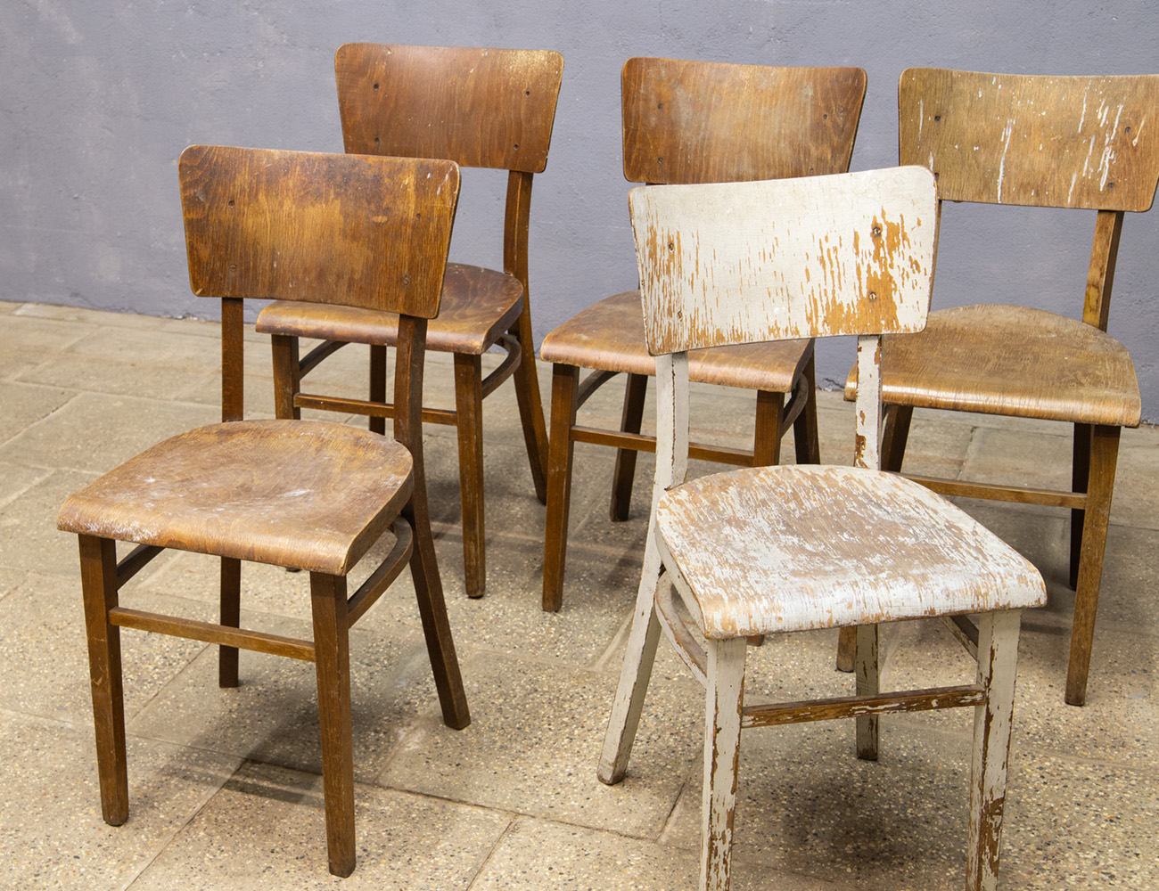 Витнажные стулья, Лигна