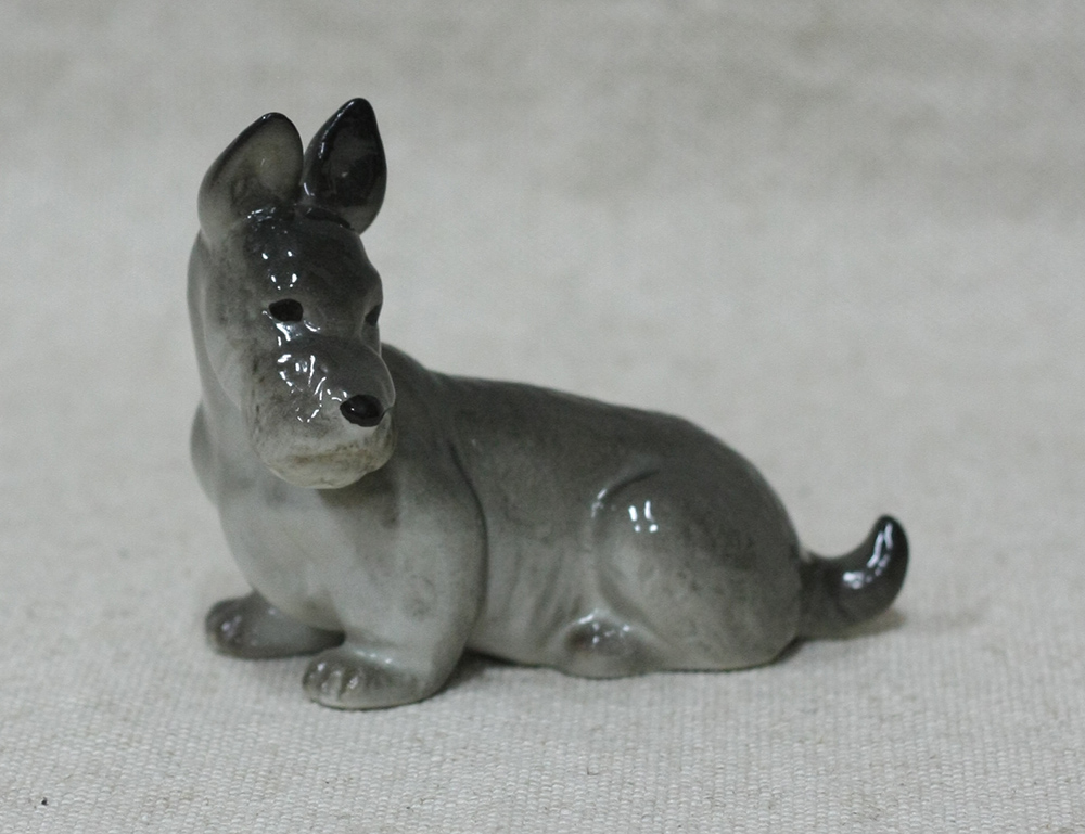 Скотч-терьер, ЛФЗ