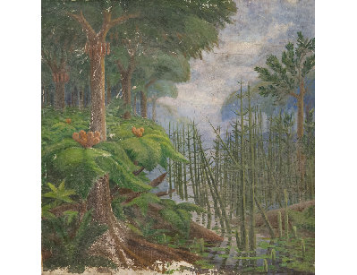 Папоротниковый лес 