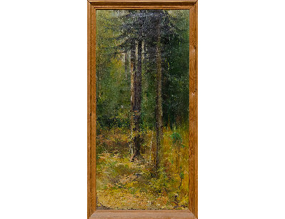 Пейзаж с елями