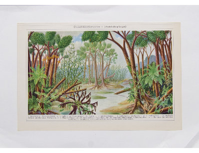 Антикварная хромолитография, Германия