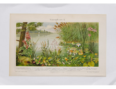 Антикварная хромолитография, Германия