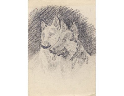 Старинная графика - Овчарки