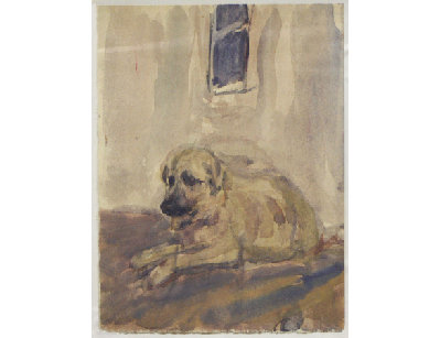 Собака, 1956г