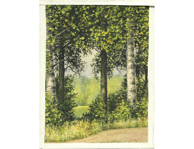 Жаркий полдень, Куоккала, 1947г