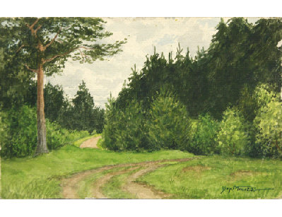 Лесная дорога